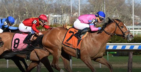 nyra replays today|aqueduct race replays nyra today.